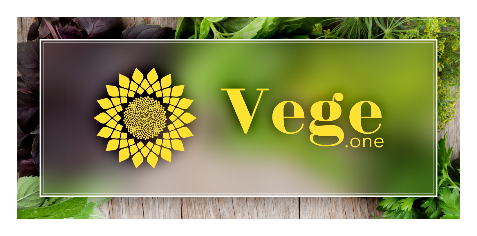 Простые и вкусные рецепты блюд без мяса | Вегетарианский проект Vege.One